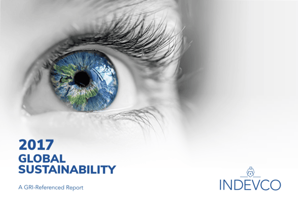 2017 Global Sustainability